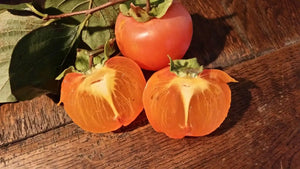 Tanins de kaki